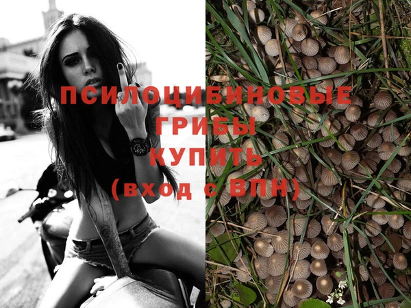 кокаин Нестеровская
